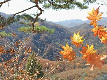 pg电子夺宝试玩